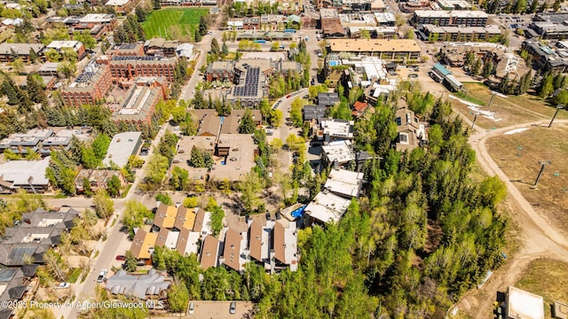800 S Mill St Unit 105, Aspen, CO 81611 - aerial view of property's location