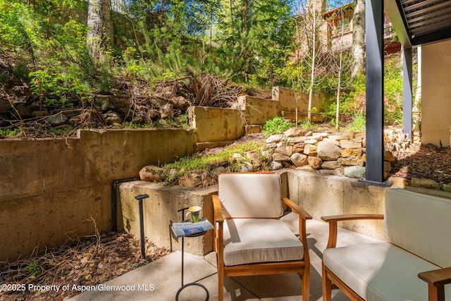 800 S Mill St Unit 105, Aspen, CO 81611 - view of patio with fence and an outdoor living space