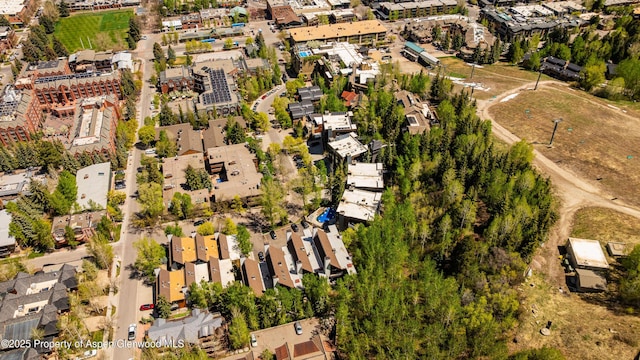 800 S Mill St Unit 105, Aspen, CO 81611 - view of property location