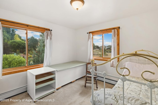 1170 16th St, Silt, CO 81652 - photo 19