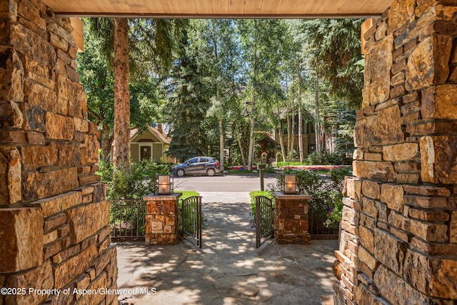 520 W Smuggler St, Aspen, CO 81611 - photo 49
