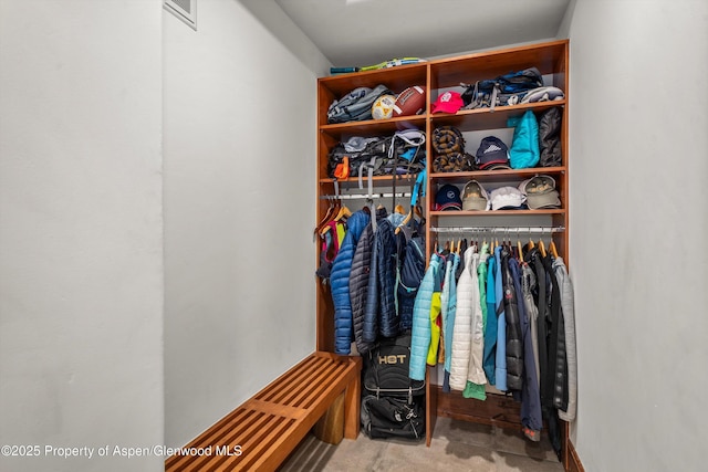 520 W Smuggler St, Aspen, CO 81611 - photo 37