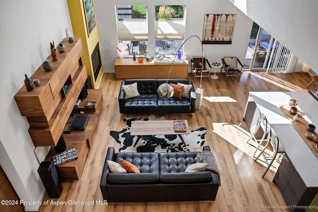 living room featuring hardwood / wood-style flooring