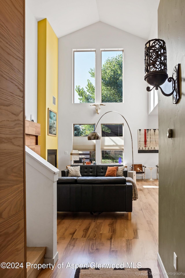 living room featuring wood-type flooring and lofted ceiling