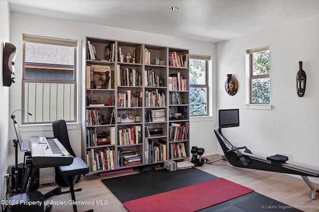 workout room featuring hardwood / wood-style flooring