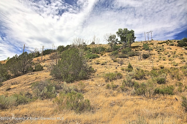 view of local wilderness