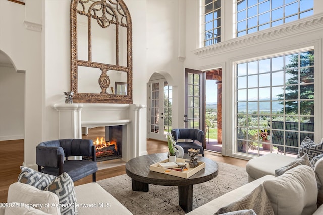 2959 County Road 103, Carbondale, CO 81623 - living area with arched walkways, a towering ceiling, wood finished floors, plenty of natural light, and a warm lit fireplace