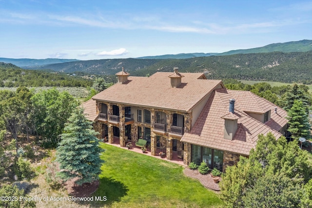 2959 County Road 103, Carbondale, CO 81623 - view of subject property featuring a mountainous background