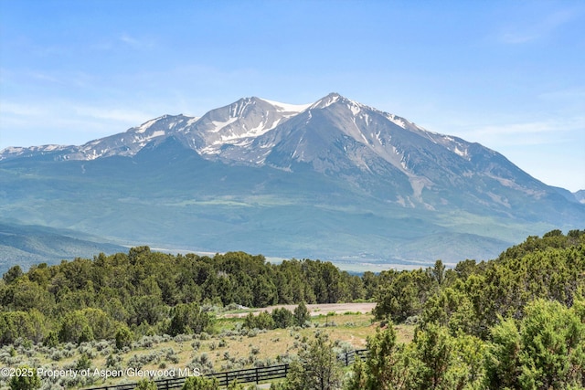 2959 County Road 103, Carbondale, CO 81623 - mountain view with a forest