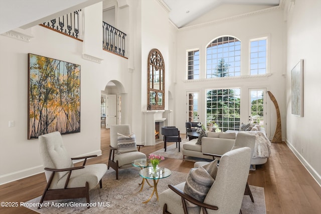 2959 County Road 103, Carbondale, CO 81623 - living room featuring high vaulted ceiling, arched walkways, wood finished floors, a lit fireplace, and ornamental molding