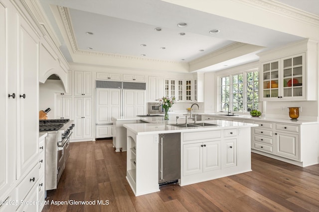 2959 County Road 103, Carbondale, CO 81623 - kitchen featuring appliances with stainless steel finishes, a center island with sink, a tray ceiling, light countertops, and dark wood-style floors