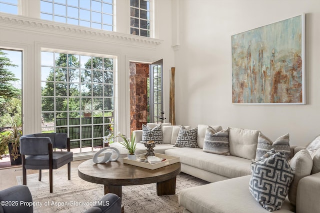 2959 County Road 103, Carbondale, CO 81623 - living area with plenty of natural light and a high ceiling