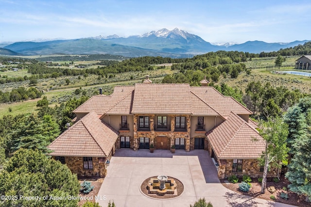 2959 County Road 103, Carbondale, CO 81623 - view of front of home with stone siding, a mountain view, curved driveway, and a chimney