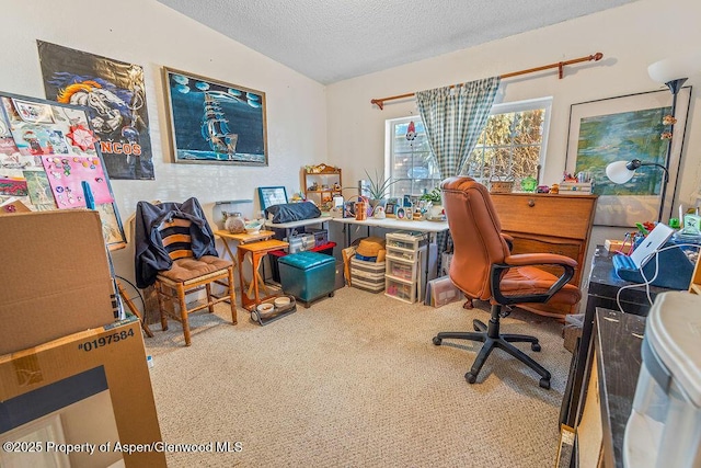 carpeted office featuring lofted ceiling and a textured ceiling