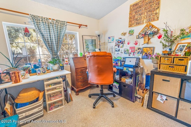 office with a textured ceiling