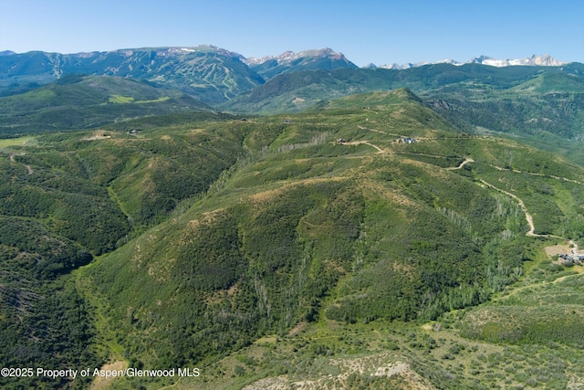 TBD Monastery Cutoff, Snowmass, CO 81654 - photo 6