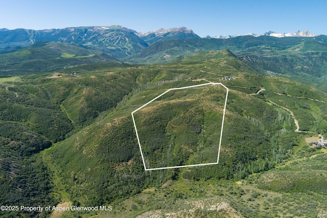 TBD Monastery Cutoff, Snowmass, CO 81654 - photo 5