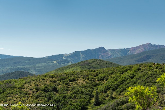 TBD Monastery Cutoff, Snowmass, CO 81654 - photo 25