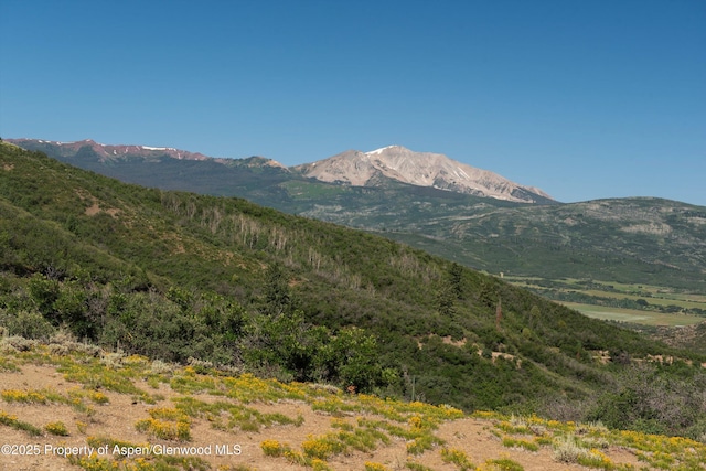 TBD Monastery Cutoff, Snowmass, CO 81654 - photo 16