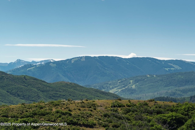 TBD Monastery Cutoff, Snowmass, CO 81654 - photo 24
