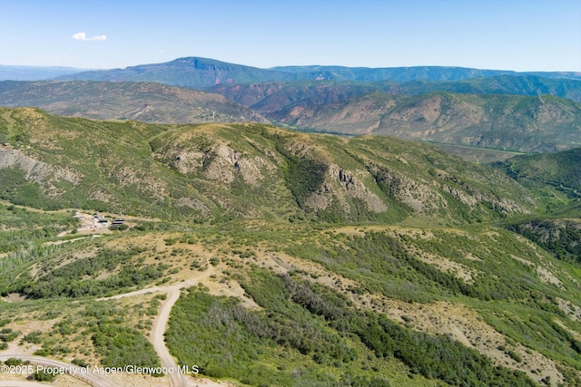 TBD Monastery Cutoff, Snowmass, CO 81654 - photo 10