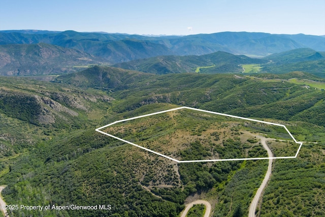 TBD Monastery Cutoff, Snowmass, CO 81654 - photo 8