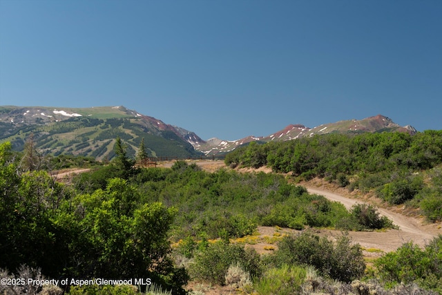 TBD Monastery Cutoff, Snowmass, CO 81654 - photo 21