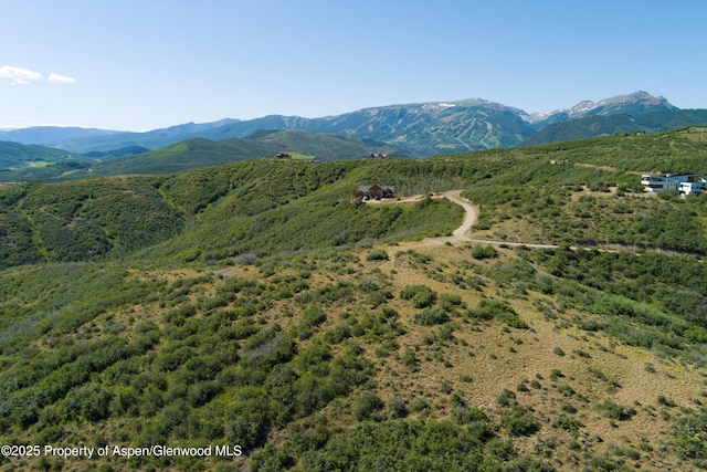 TBD Monastery Cutoff, Snowmass, CO 81654 - photo 11