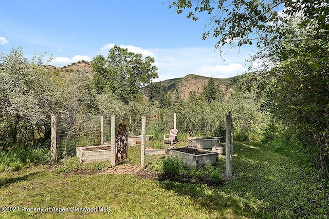 view of yard featuring a mountain view