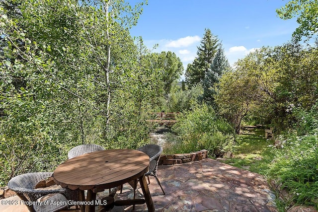 35 Starlit Ln, Snowmass, CO 81654 - view of patio