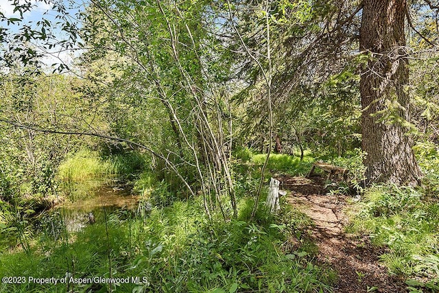 view of local wilderness