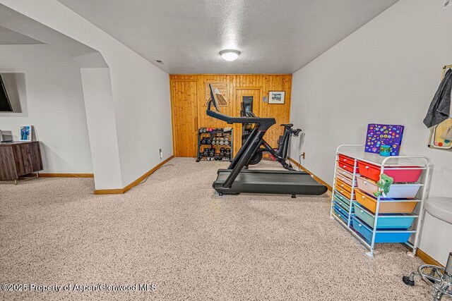 301 W 10th St, Craig, CO 81625 - exercise area featuring wood walls, baseboards, and a textured ceiling
