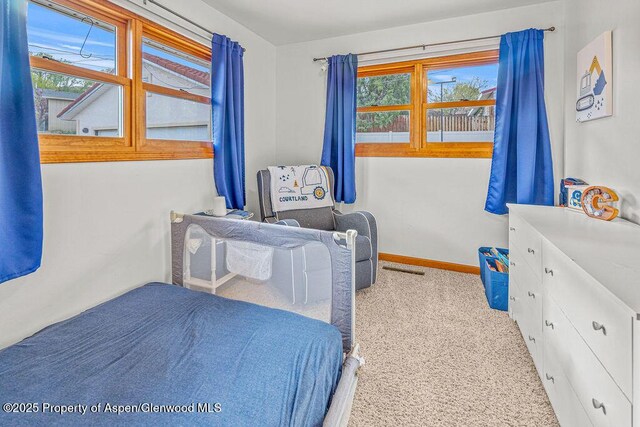 301 W 10th St, Craig, CO 81625 - bedroom with multiple windows, carpet floors, and baseboards