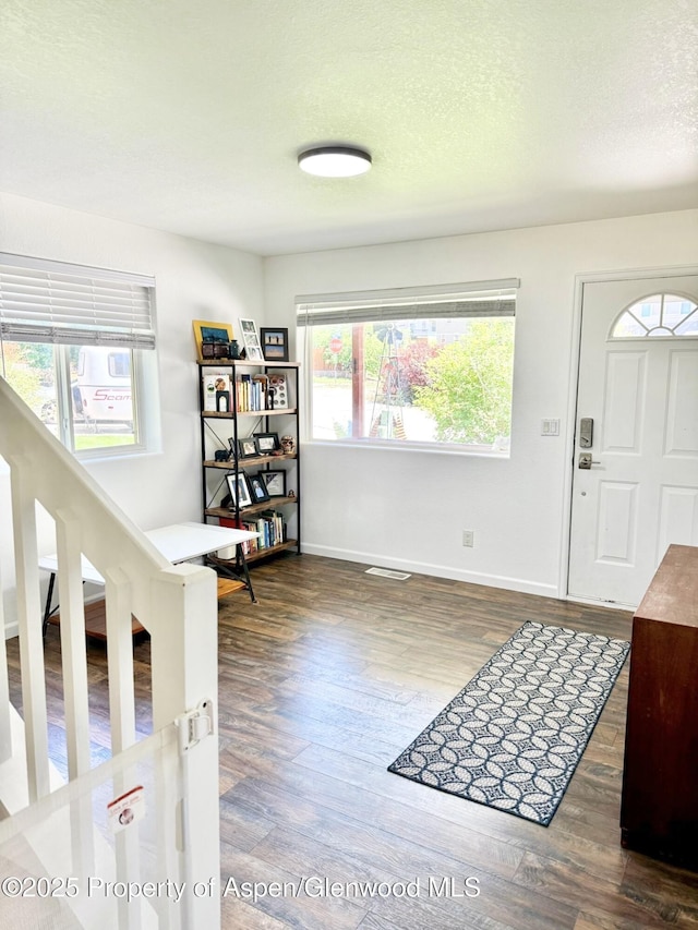 289 Mikala Ln, New Castle, CO 81647 - foyer entrance featuring wood finished floors