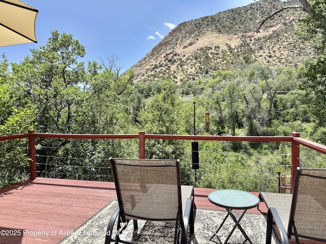 289 Mikala Ln, New Castle, CO 81647 - mountain view