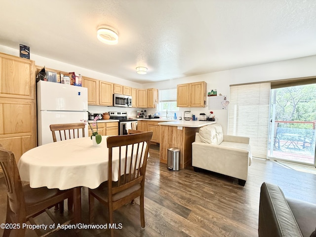 289 Mikala Ln, New Castle, CO 81647 - dining area featuring dark wood-type flooring and a textured ceiling