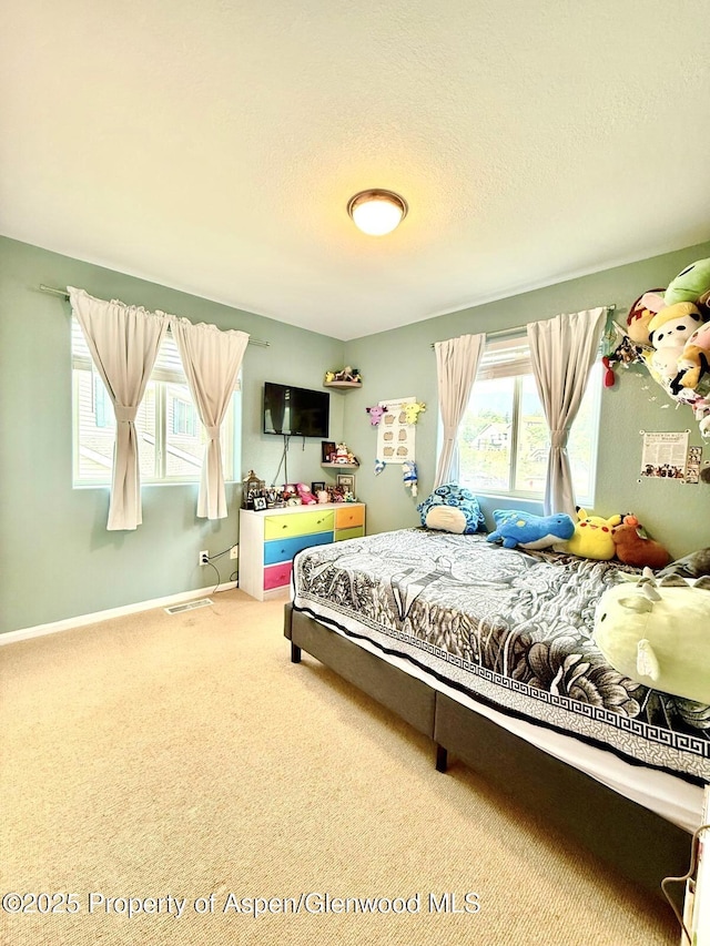 289 Mikala Ln, New Castle, CO 81647 - carpeted bedroom featuring multiple windows and a textured ceiling