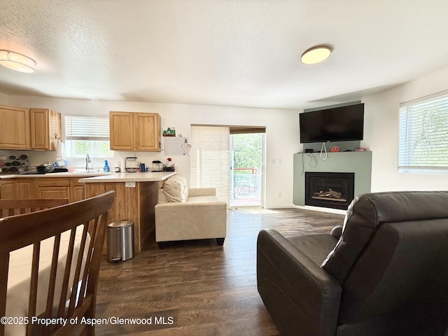 289 Mikala Ln, New Castle, CO 81647 - living room featuring healthy amount of natural light, dark wood-style floors, a glass covered fireplace, and a textured ceiling