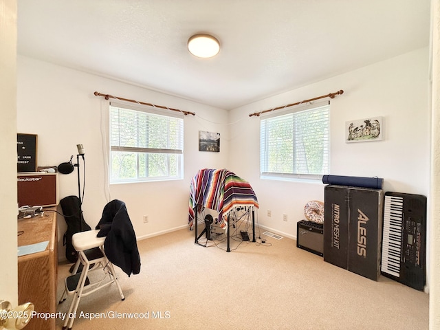 289 Mikala Ln, New Castle, CO 81647 - carpeted office space with baseboards