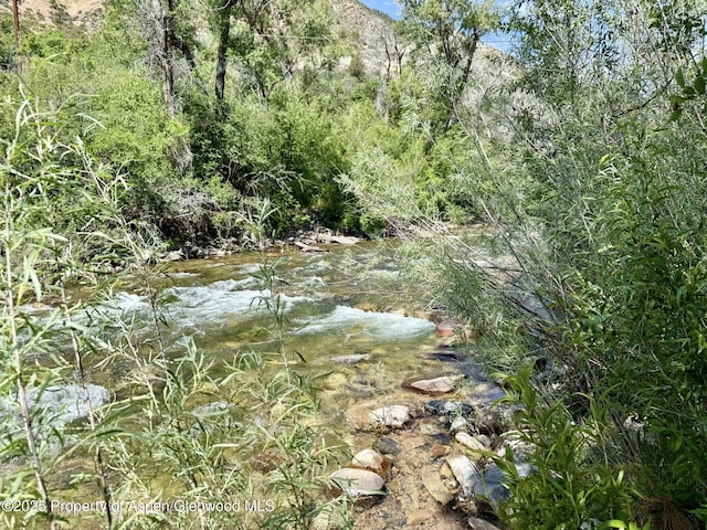 289 Mikala Ln, New Castle, CO 81647 - view of wooded area