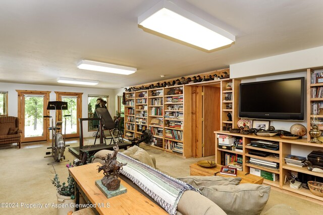 645 W Main St, Marble, CO 81623 - photo 13