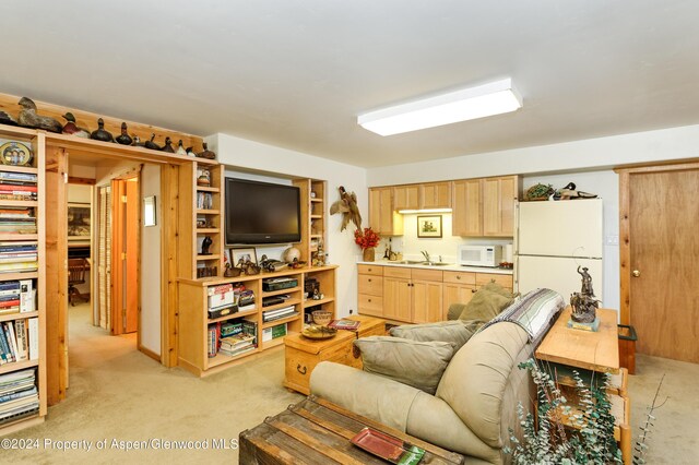 645 W Main St, Marble, CO 81623 - photo 14
