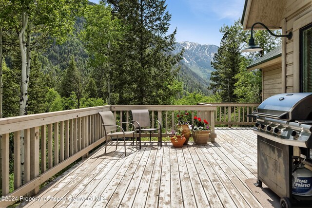645 W Main St, Marble, CO 81623 - photo 3