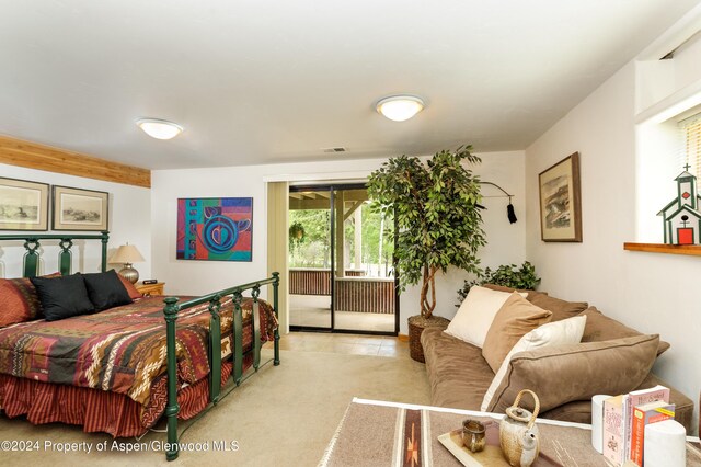645 W Main St, Marble, CO 81623 - photo 15