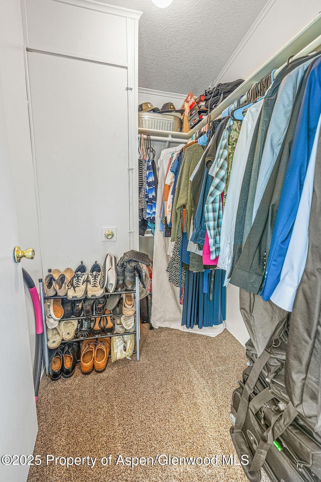 walk in closet with carpet flooring