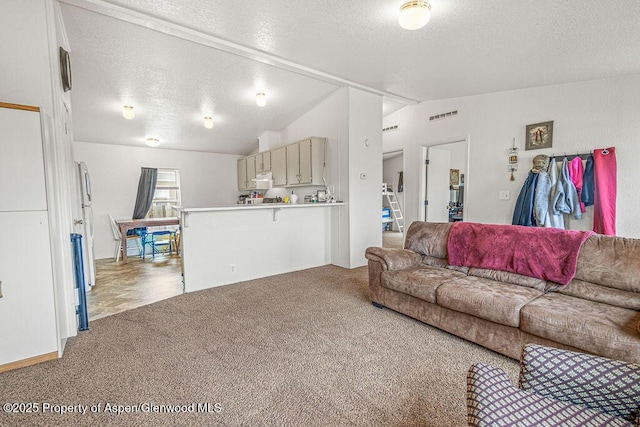 living area with a textured ceiling, visible vents, vaulted ceiling, and light carpet
