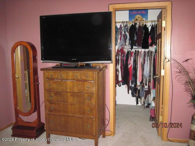 bedroom featuring light colored carpet