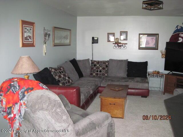 living area featuring carpet flooring