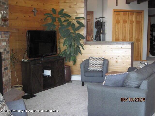 living room with wooden walls and carpet flooring