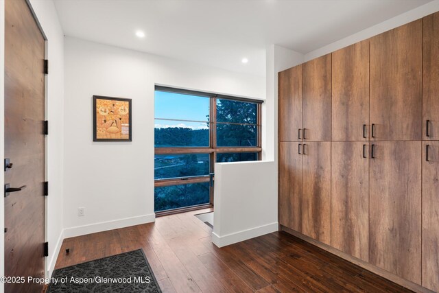 1108 County Road 110, Glenwood Springs, CO 81601 - unfurnished bedroom with dark wood-type flooring, baseboards, and recessed lighting